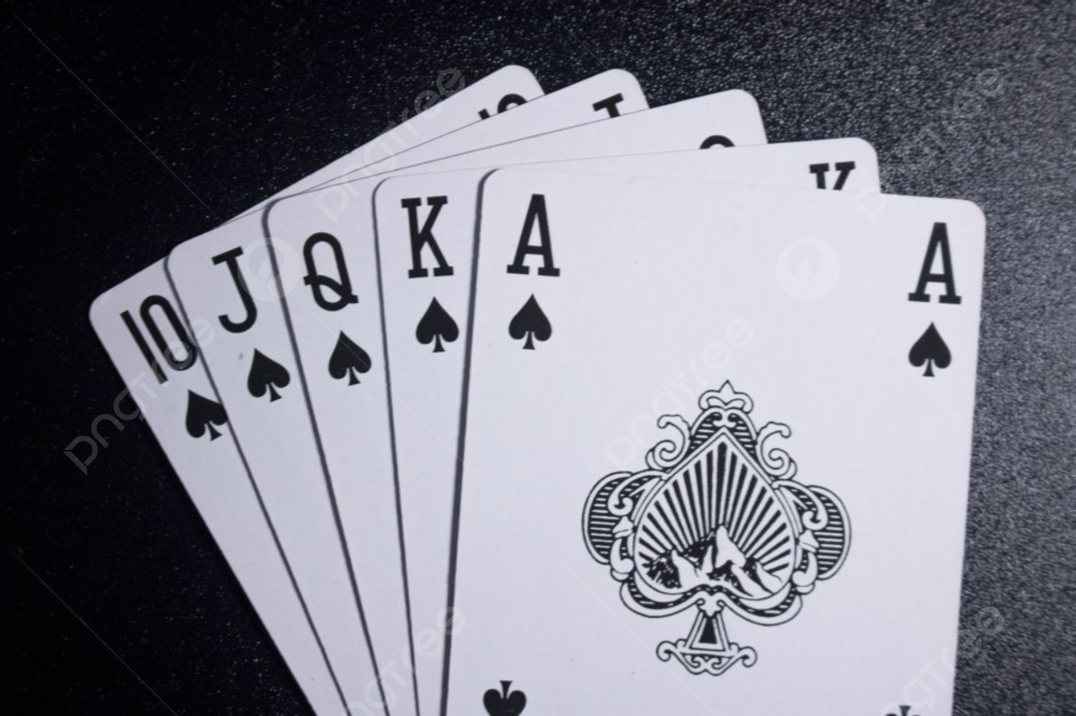 Slot Makinesi Seçimi: Kazanma Şansını Artıracak İpuçları